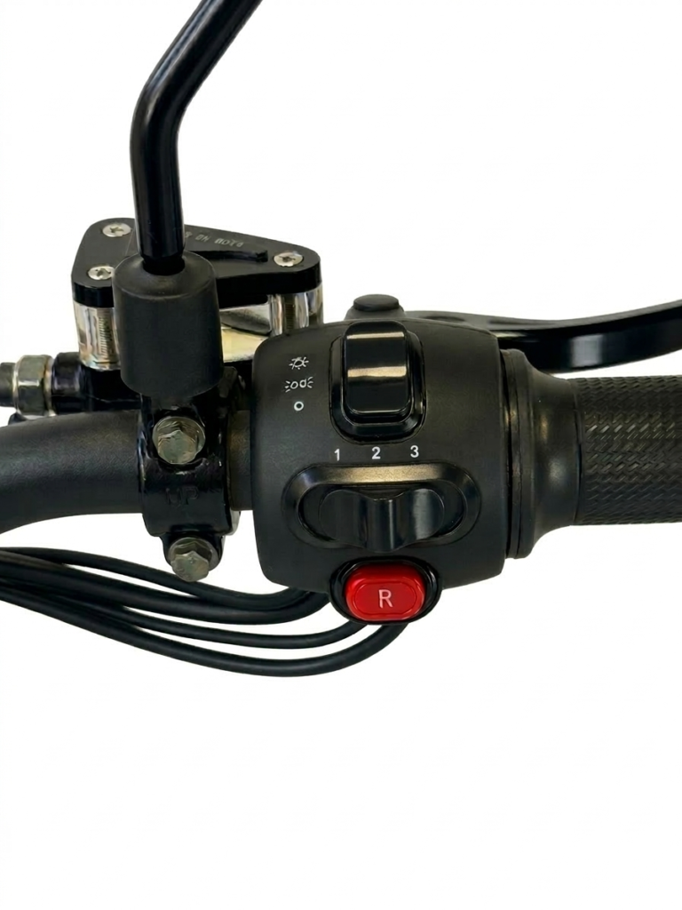 Gemini_Generated_Image_84498m84498m8449