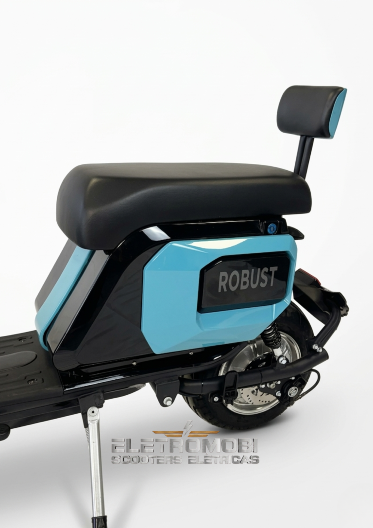 ROBUST 03