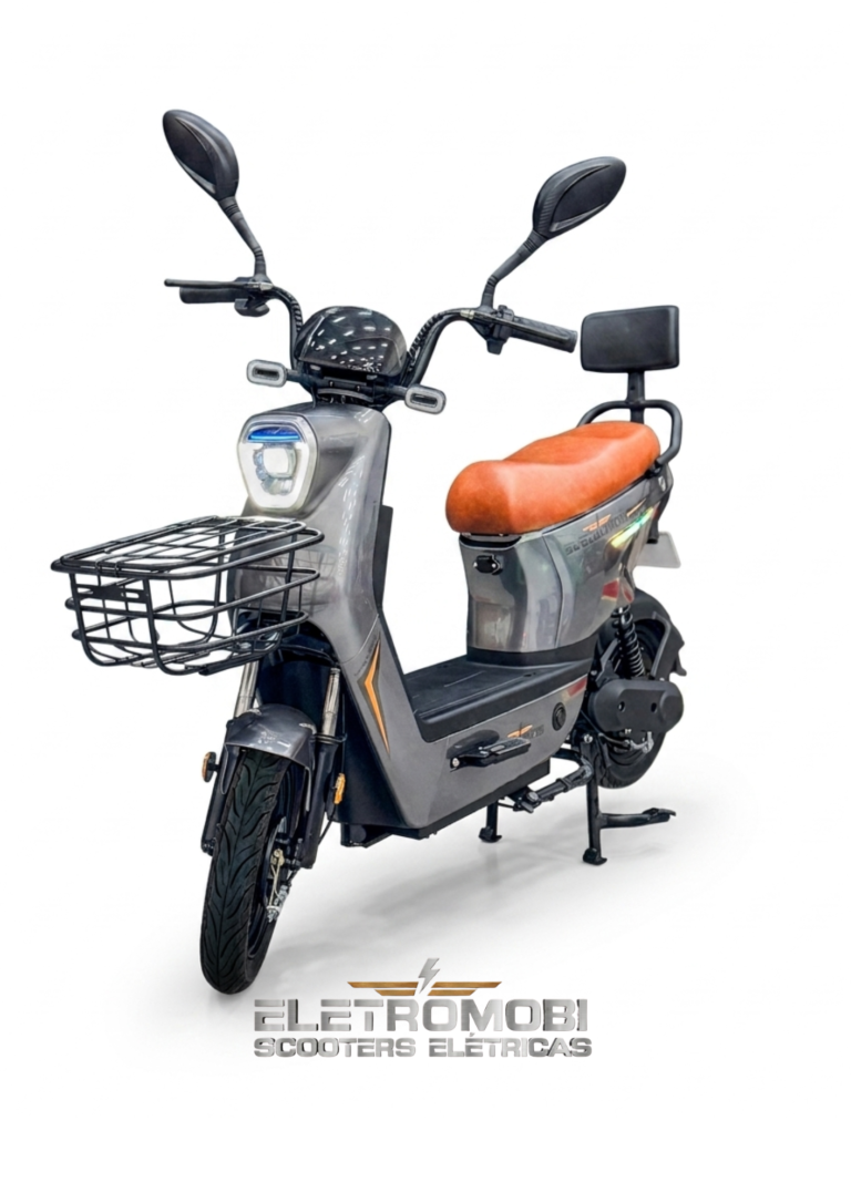 SPORT SPEED CINZA
